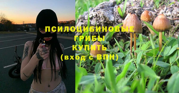 метадон Алексин