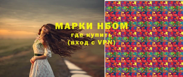 метадон Алексин