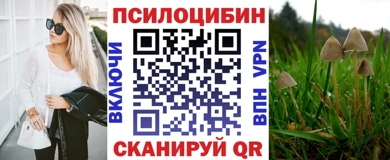 kraken рабочий сайт  Курск  Псилоцибиновые грибы Psilocybine cubensis  купить закладку 